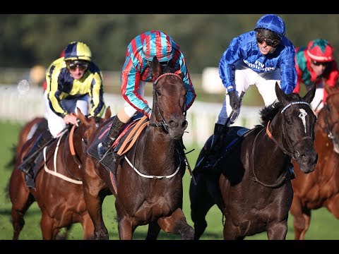 Hannover: Großer Preis der BMW Niederlassung Hannover 2017 (Listenrennen) - Siegerin: Ostana