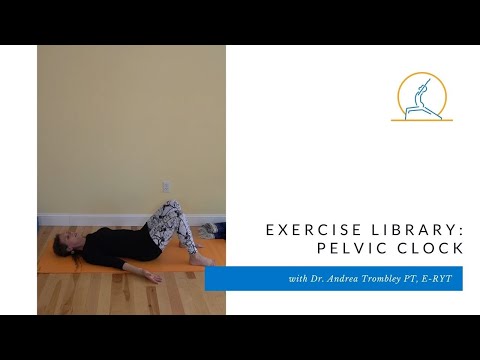 Exercise Library: Pelvic Clocks