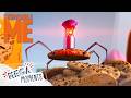 Now Those Are Cookie Robots Despicable Me Mega Moments