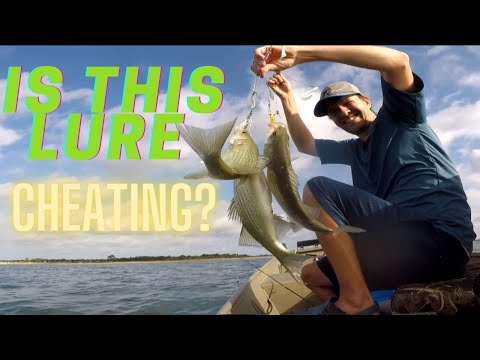 Is this lure Cheating? Striping Fishing