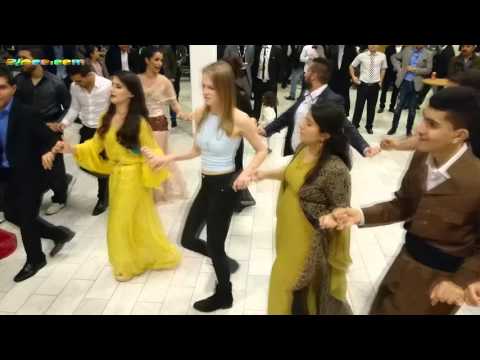 Dilshad Zaxoyi - Oslo 2015 Part 1