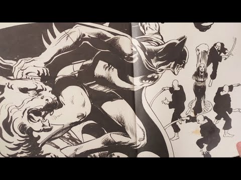 panellogy 570 - neal adams artist's edition