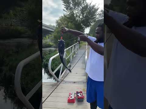 2 lil channel cats #fishing #public #catfish #fyp #reels #BIGFISHSQUAD