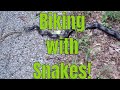 Shawnee National Forest Camping Aborted Bike Riding