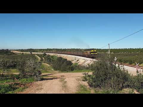 Comboio de Areia n.º 55891/0 - Casével