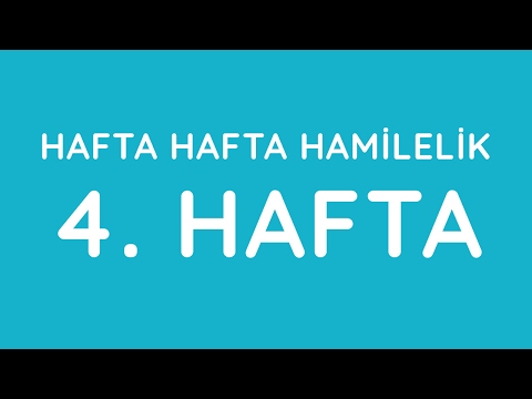 4.Hafta - Hafta Hafta Gebelik - Hamilelik | Anneysen.com