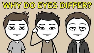 Why Do Some of Us Have Almond-Shaped Eyes?