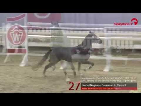 27  Nobel Nagano -  Dressman - Nante II