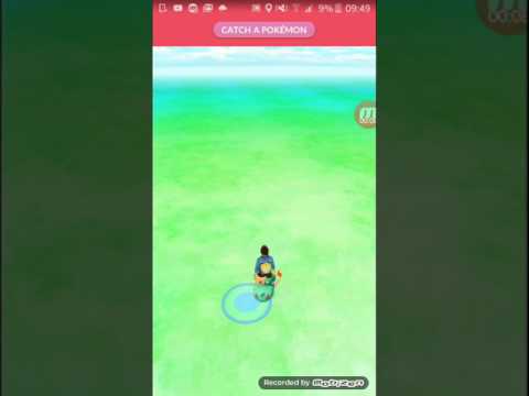 Bagna początkujących pokemonuw i inces ratata i vlpxa