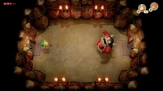 The Legend of Zelda : Link&#39;s Awakening – Rescue BowWow from Moblins - Walkthrough