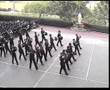 6AA Razzle Dazzle