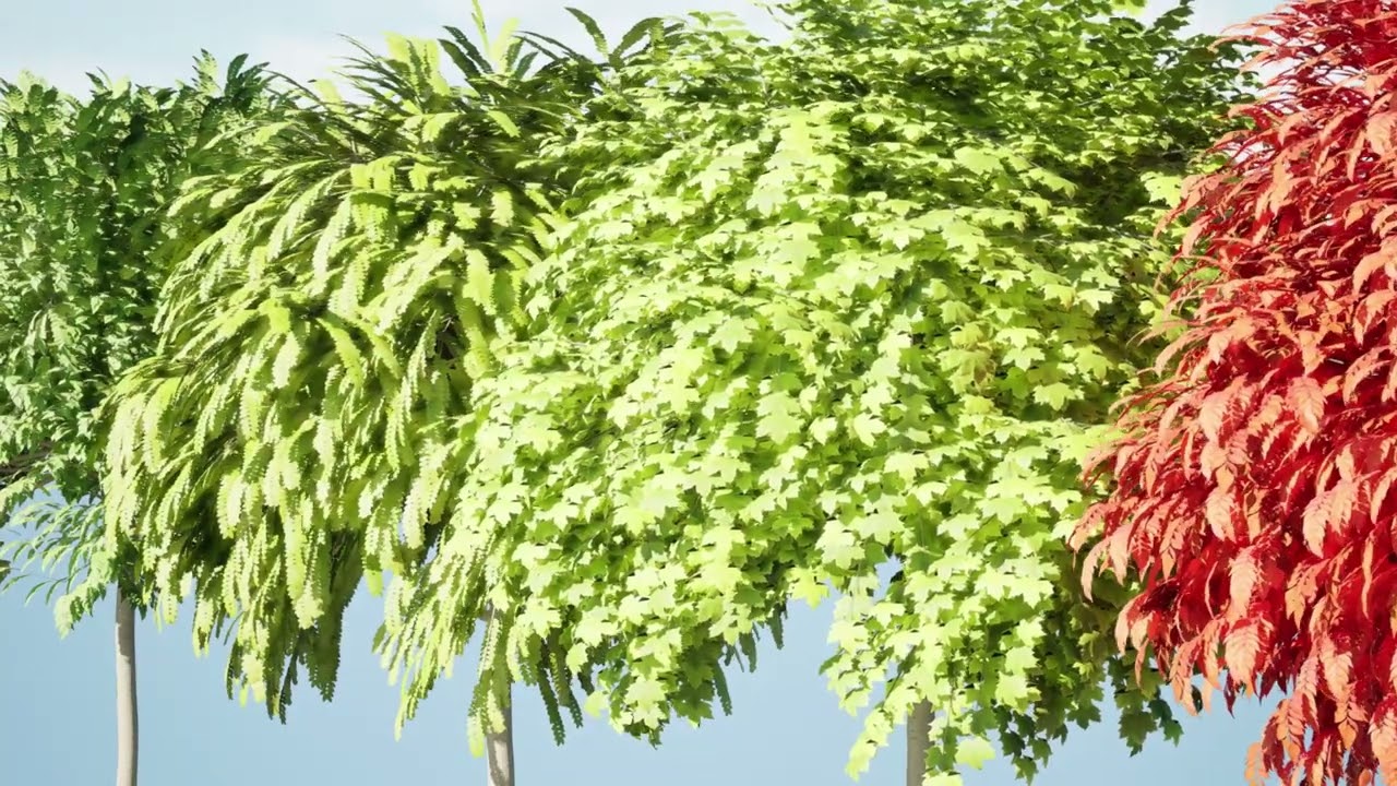 Collection d'arbres Mop Top Modèle 3D