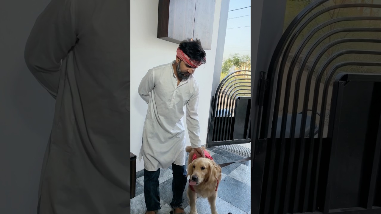 The Magical Pen That Changed Everything | Comedy Sketch