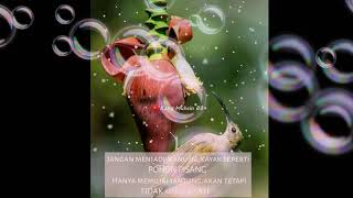 Download lagu Armada - Hargai Aku ( story wa ) mp3