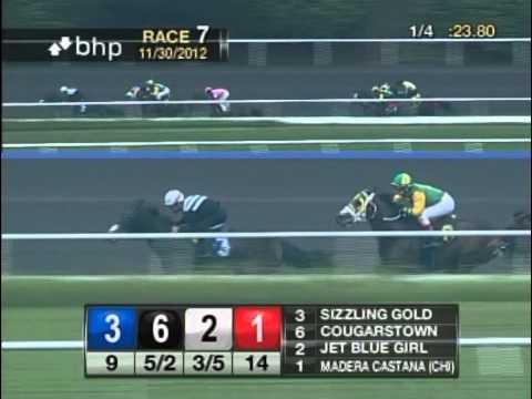 Sizzling Gold Re-Rallies For 9-1 Surprise