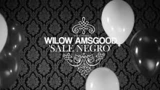 WILOW AMSGOOD - SALE NEGRO [Clip Officiel]