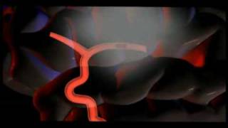 Final medanta.wmv Final medanta.wmv