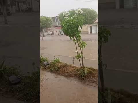 🌧️ CHUVA FORTE NA REGIÃO DA BAHIA - CIDADE DE OLINDINA