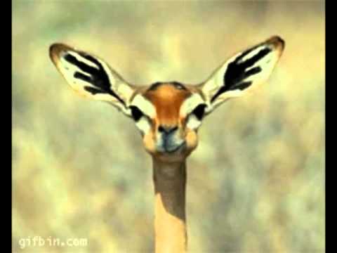 Dextems - Dirty Peoples