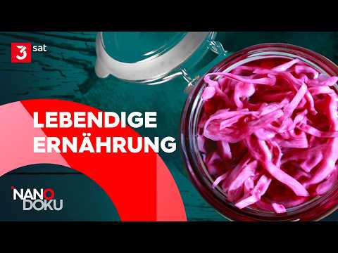 Fermentieren für ein starkes Immunsystem | NANO Doku