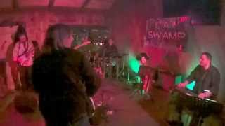 Cat Swamp Band, Sugar Magnolia 2-20-15