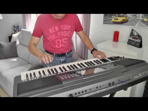 Peter Schilling " Different Story " II cover PSR S 770