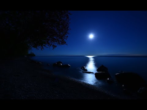 EL SONIDO DEL SILENCIO || Meditar y relajarse (pantalla negra)