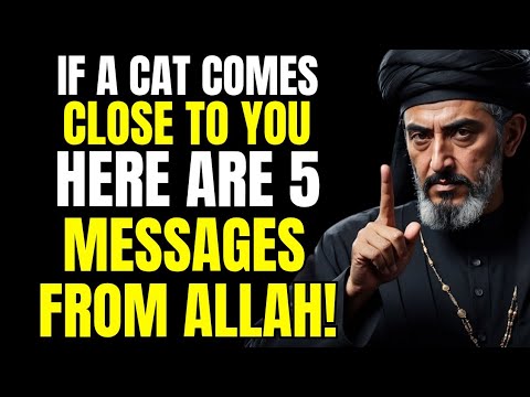 If a Cat Comes Close to You, HERE ARE 5 MESSAGES FROM ALLAH!