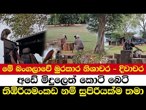 මේ බංගලාවේ මුරකාර නිශාචර - දිවාචර | අඩේ මිදුලෙත් කොටි බෙටි | තිඹිරියමංකඩ නම් සුපිරියක්ම තමා