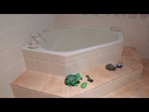 6 Federation Drive, Hallidays Point, NSW 2430, 4房, 3浴, House