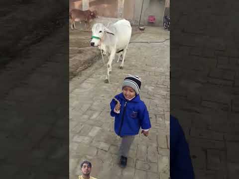 LA ILAHA ILLALLAH #cutebaby #youtubeshorts #shortvideo #viral #trending