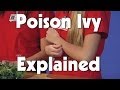 Poison Ivy Kids Health The Friday Zone WTIU PBS