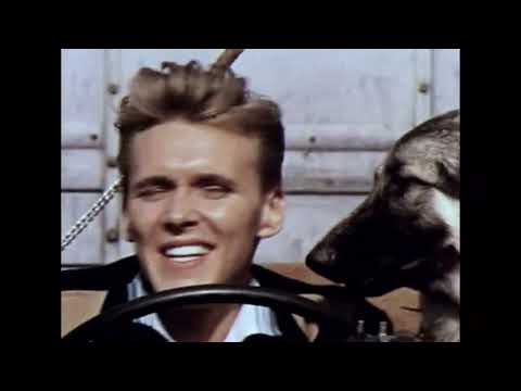 BILLY FURY - I'VE GOTTA HORSE -  Movie Version