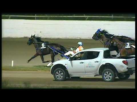 Trotto 21/08/2020 - 9ª corsa