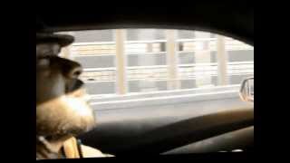 EZ THEE AMBASSADOR & JEN WOOD-DOUBT ME LOVE