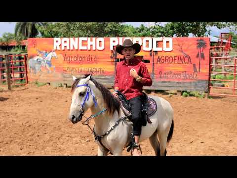 NO VOY A VOLVER CONTIGO - CESAR ORELLANA