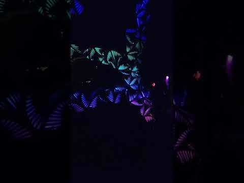 Mo:Dem Festival Mutation V. 1 - 2021 - Seed Stage - MoDem at Night