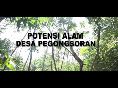 Impotensi pada 23 alasan Persiapan untuk anjing selera