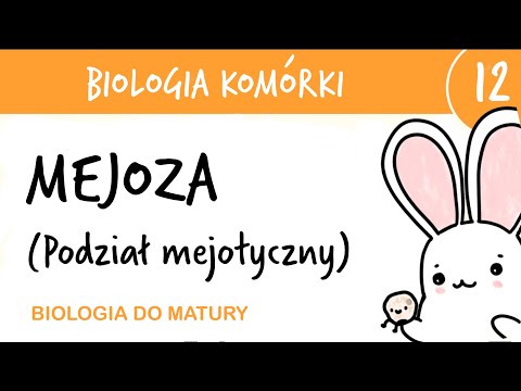 Cytologia 12 - Mejoza podział mejotyczny - biologia rozszerzona przygotowanie do matury z biologii