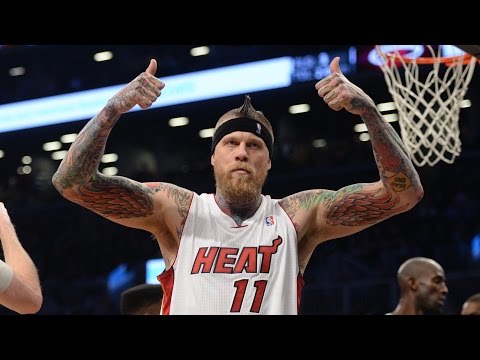 Chris Andersen Heat 2015 Season Highlights