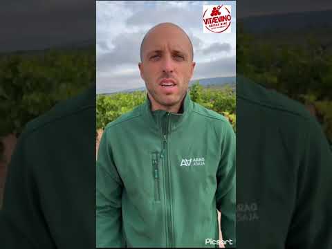Video of Eduardo Pérez