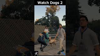 マーカス、犬をなでる！