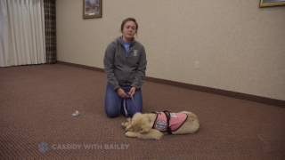 SDWR Training Stop Chewing