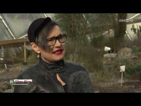 FernG'schaut 27.02.2021 - Steiermark heute