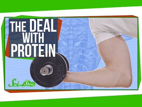The Deal with Protein