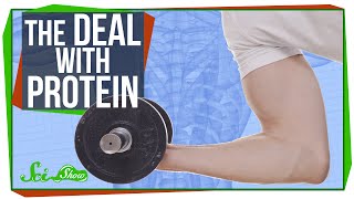 The Deal with Protein
