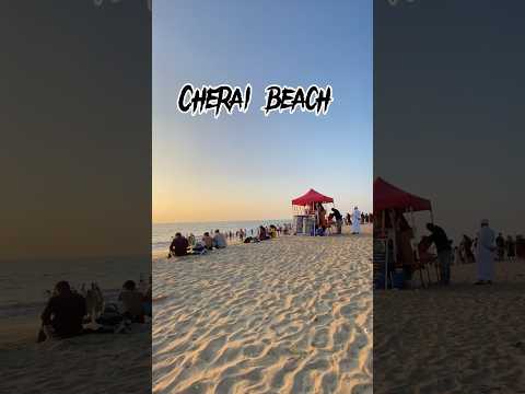 🛑Cherai beach | kochi | couple | vypin | Marine drive