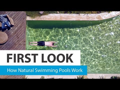 How natural swimming pools work - CHOICE