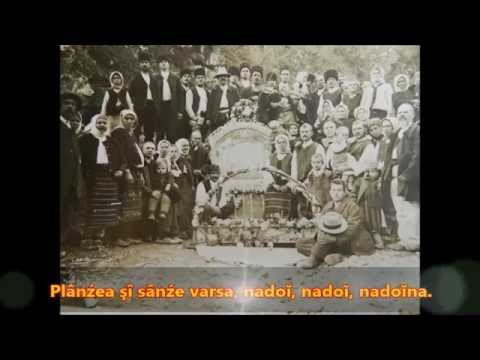 „Asară la nuntă mĭa”-  Gordana Stojicevic