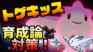 トゲキッス ポケットモンスター テッポウオ ルガルガン フレフワン トゲキッス ポケットモンスター テッポウオ ルガルガン フレフワン